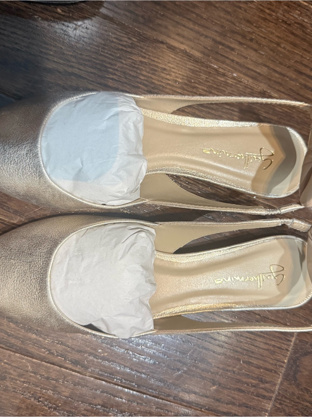 Giuseppe Zanotti Gold Metallic Slingback Flats